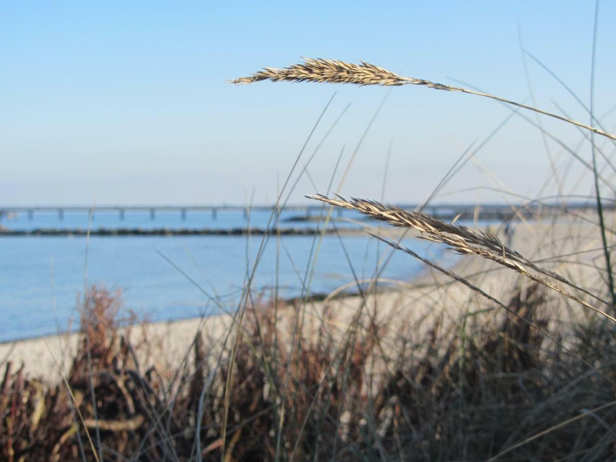 Ferienwohnung Sonnenschein Schonberger Strand Exteriör bild
